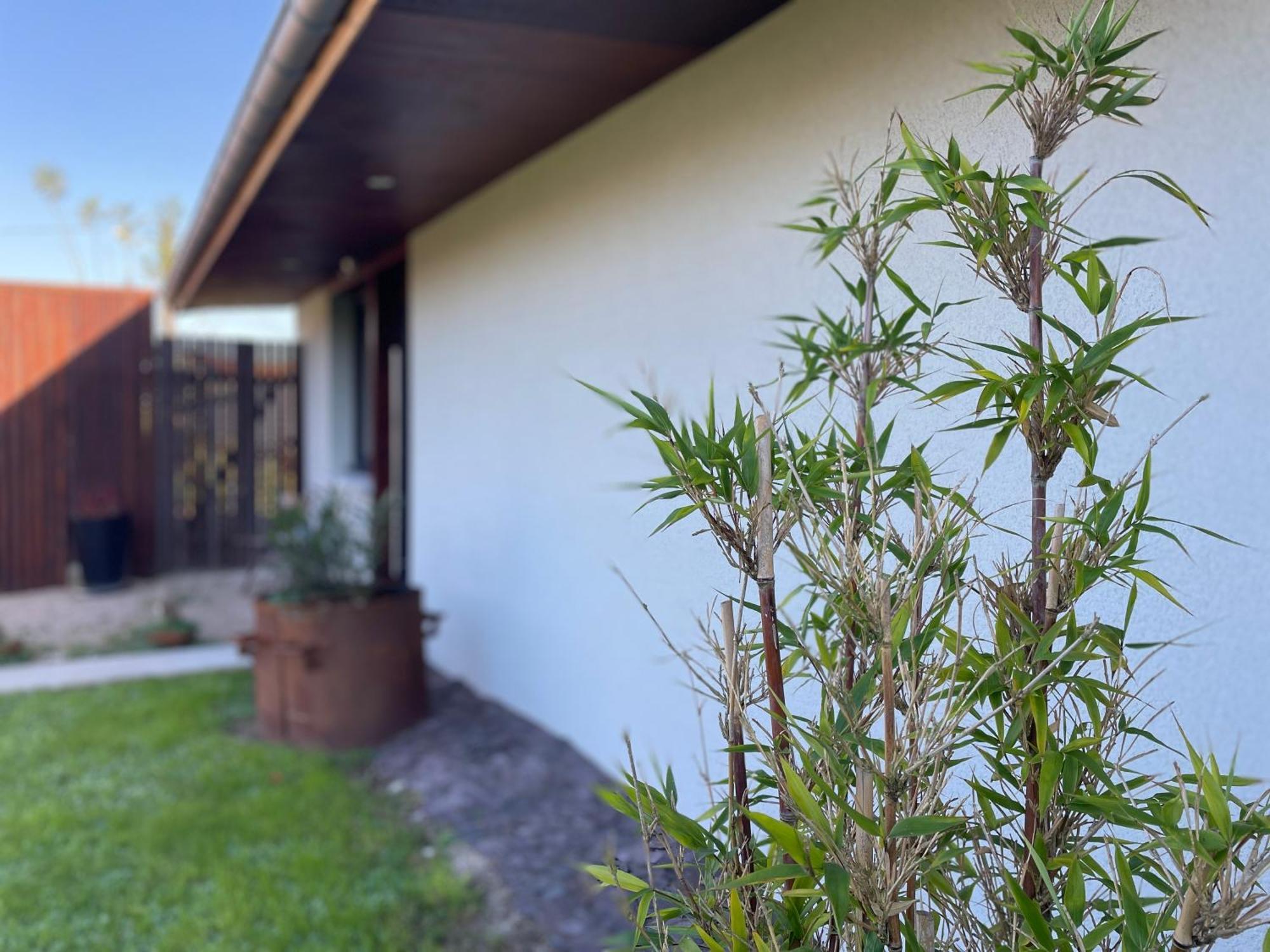 Yanna Lodge, Gite Classe 4 Etoiles Avec Spa Couvert Entierement Arrest Exterior photo